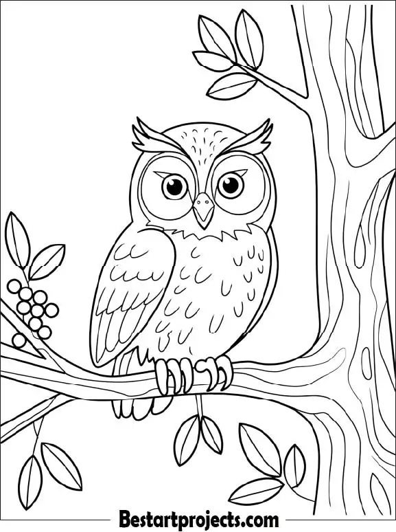 1.Baby Owl Sitting on a Tree Branch