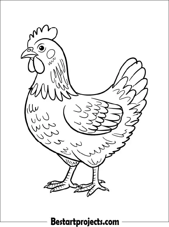 1.Simple Outline of a Chicken