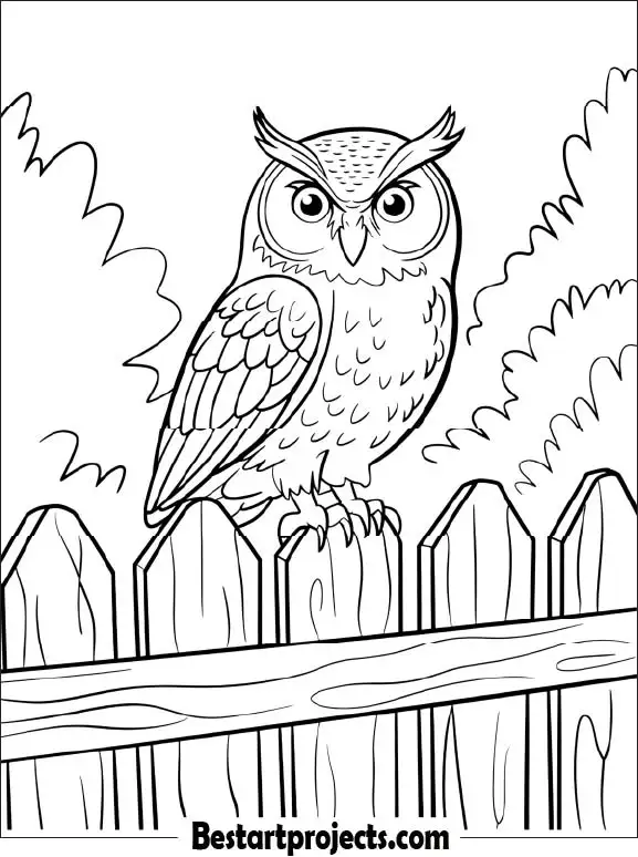 10.Owl Sitting on a Fence