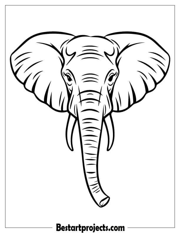 Simple outline of an Elephant face