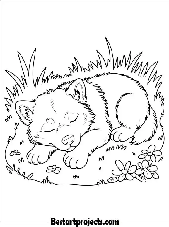 Sleeping Wolf Pup Coloring Page for Kids