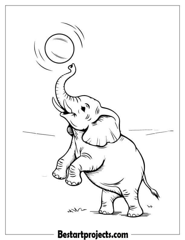 Elephant playing with a bouncing ball