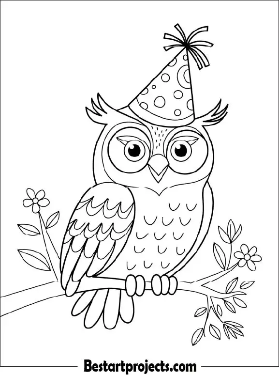 12.Funny Owl Wearing a Party Hat