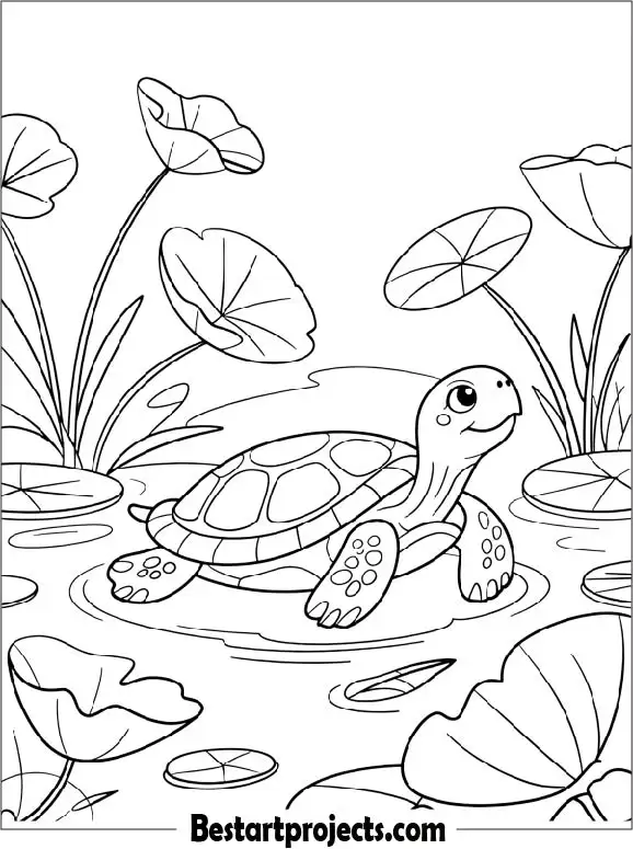 13.Turtle in a Small Pond with Lilies