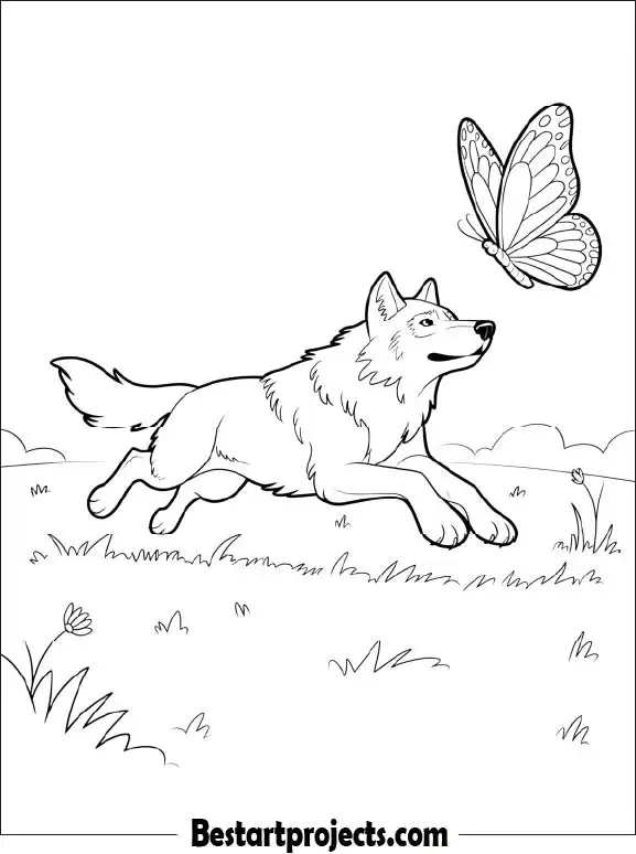 Wolf and Butterfly Coloring Sheet