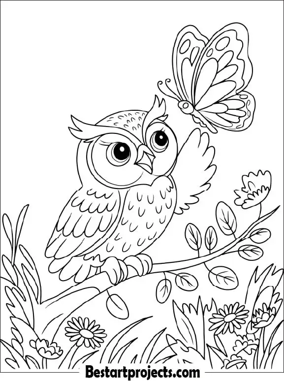 14.Little Owl Playing with  a Butterfly