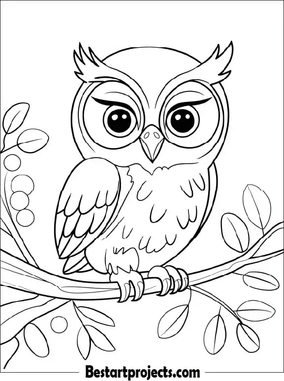15.Cute Baby Owl Coloring page for Kids