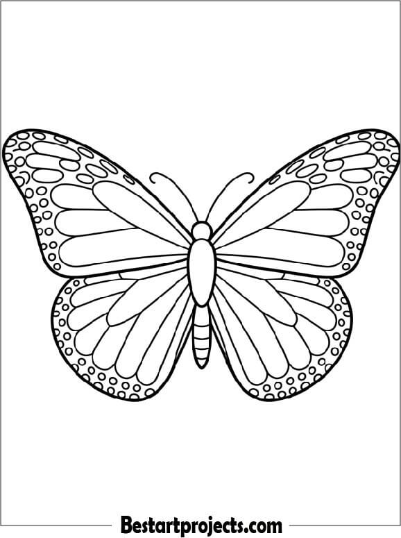 Simple Outline of a Butterfly