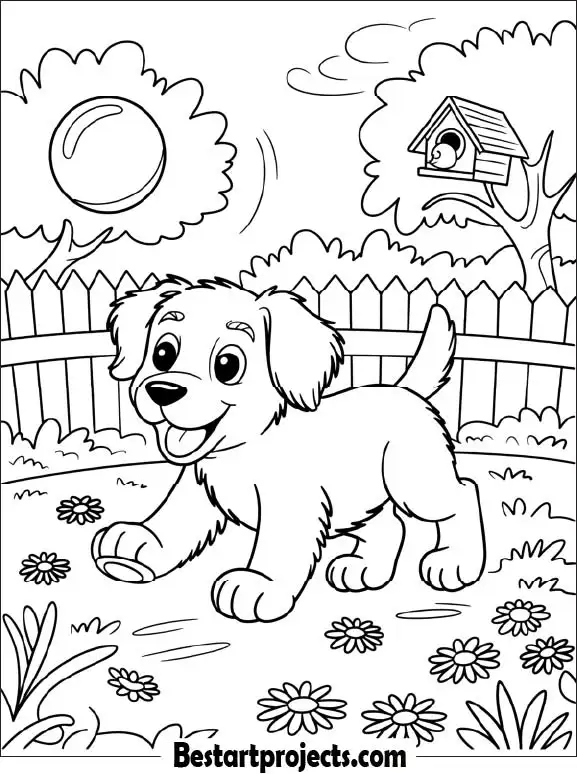 Cute Dog Playing  In Backyard