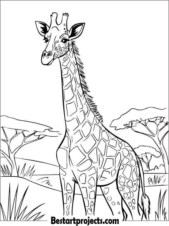 Giraffe Picture to Color for Kids