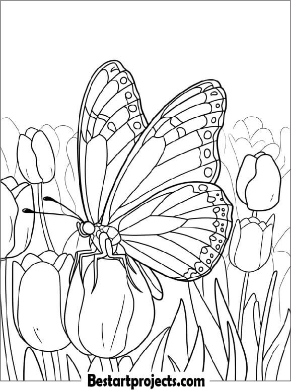 Butterfly in a Garden of Tulips