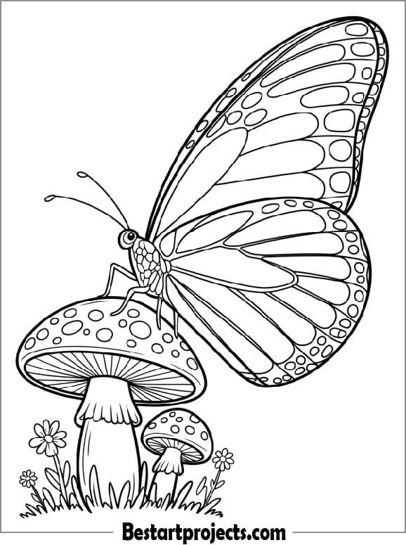 Butterfly Resting on a Mushroom