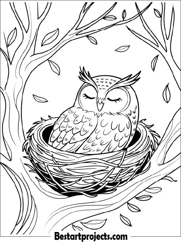 19.Owl Sleeping in a Cozy Nest