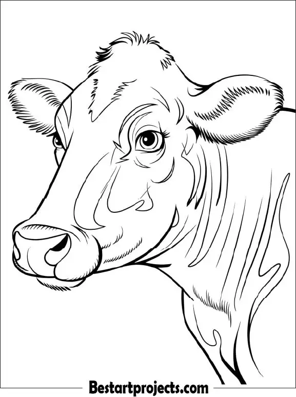 2. Simple Cow Face