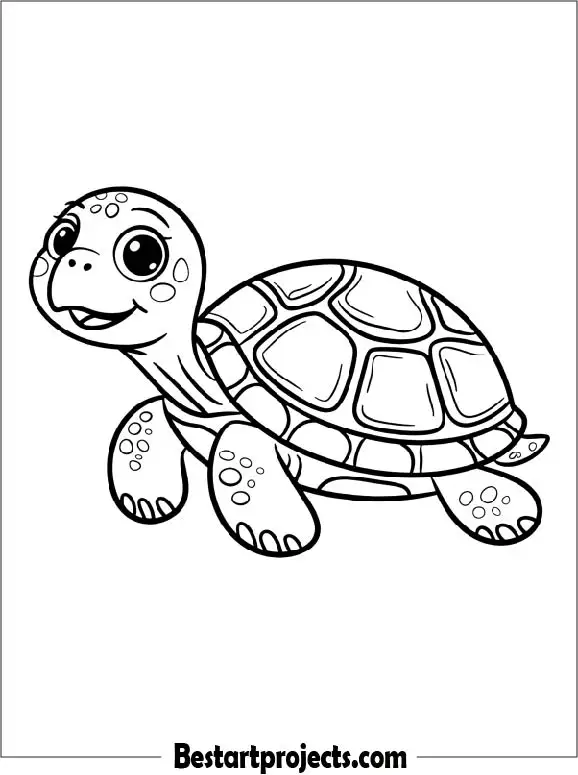2.Cute Turtle Coloring page