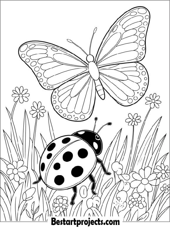 Butterfly and Ladybug in the Grass