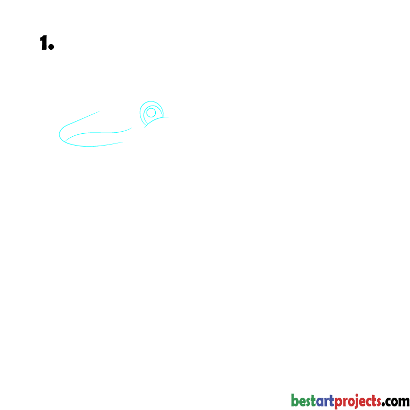 How to Draw a Dolphin step 01