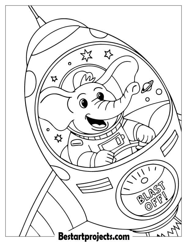Elephant in a Spaceship