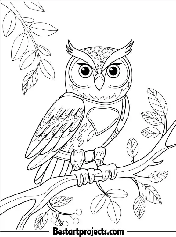 22.Superhero Owl