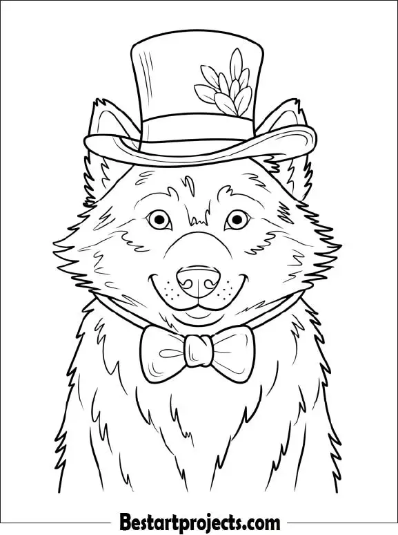 Wolf Wearing a Hat Coloring Sheet