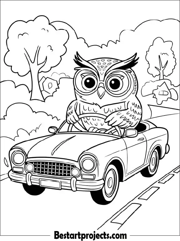 26.Owl Riding a Car