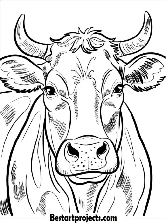 27.Close-Up Cow Portrait