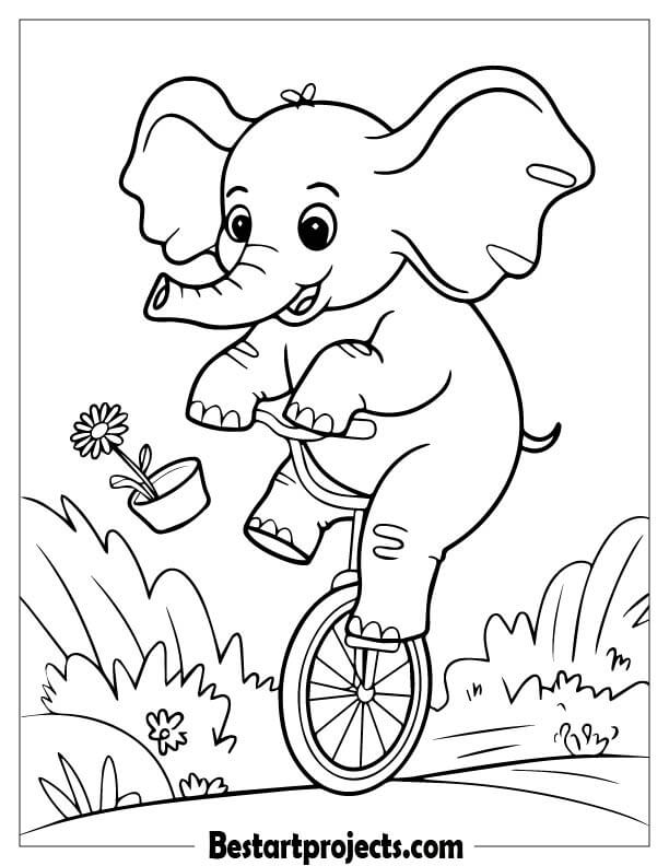 Elephant Riding a Unicycle