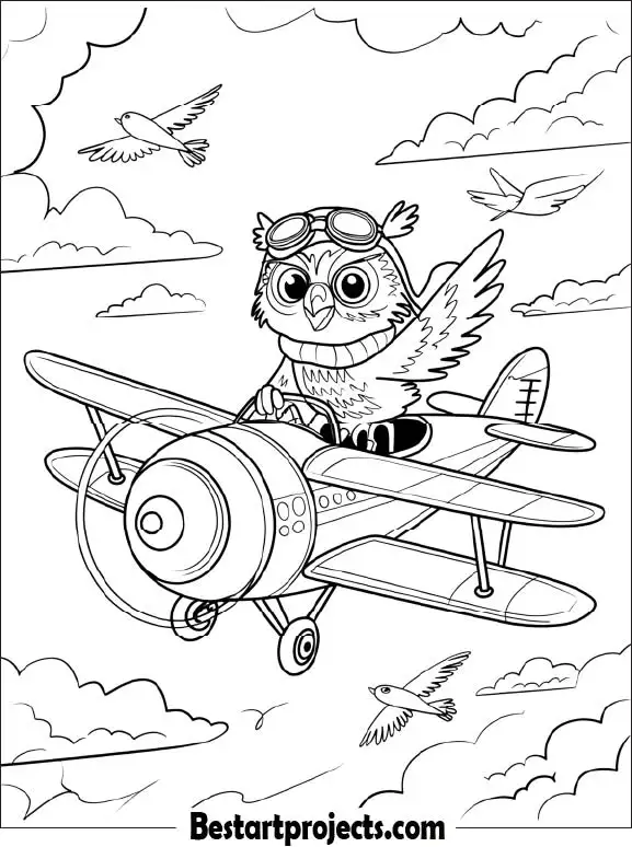 27.Owl Riding a Plane
