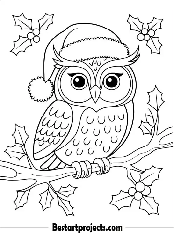 28.Christmas Owl with Santa Hat