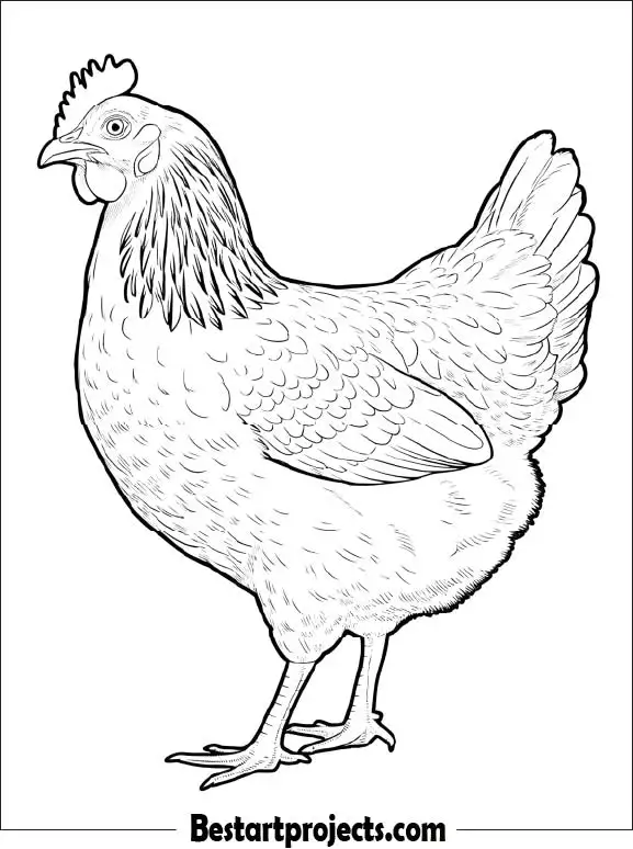 28.Realistic Hen Portrait