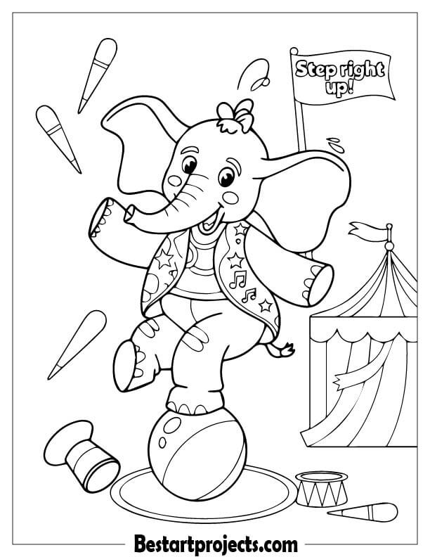  A Friendly Circus Elephant 1