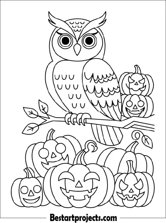 29.Halloween Owl with Pumpkins