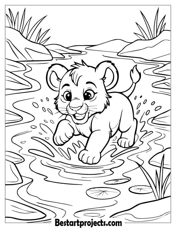 Lion Cub Playing in Water