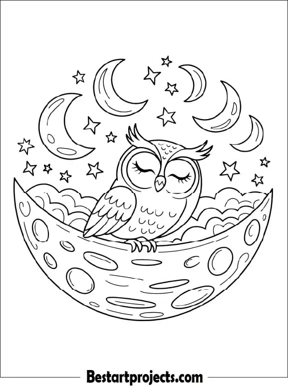 3.Sleepy Owl Dreaming on the Moon