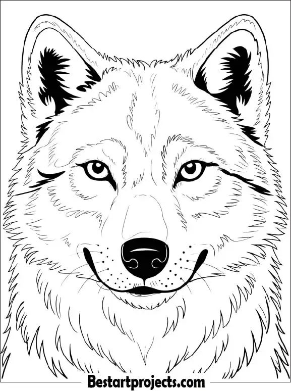Wolf Face Coloring Printable pdf