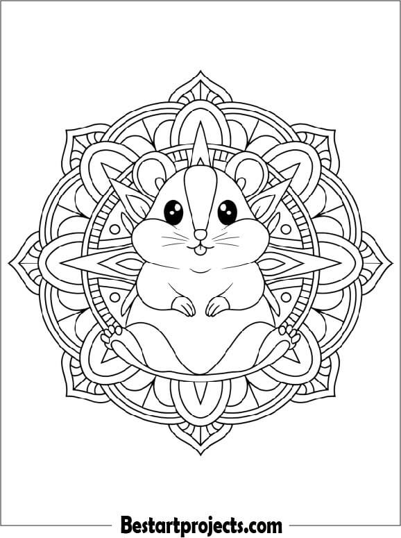 Hamster Mandala Design