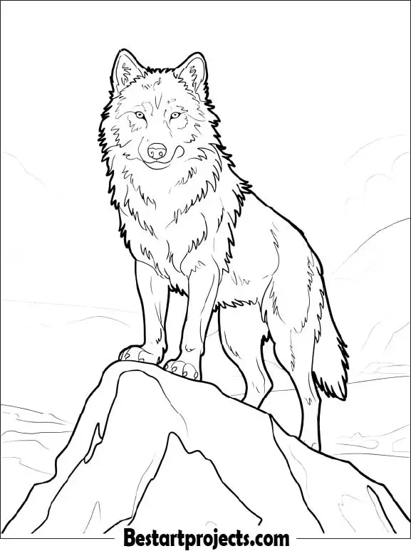 Wolf Standing On Top Of Rock Coloring Page for Adults