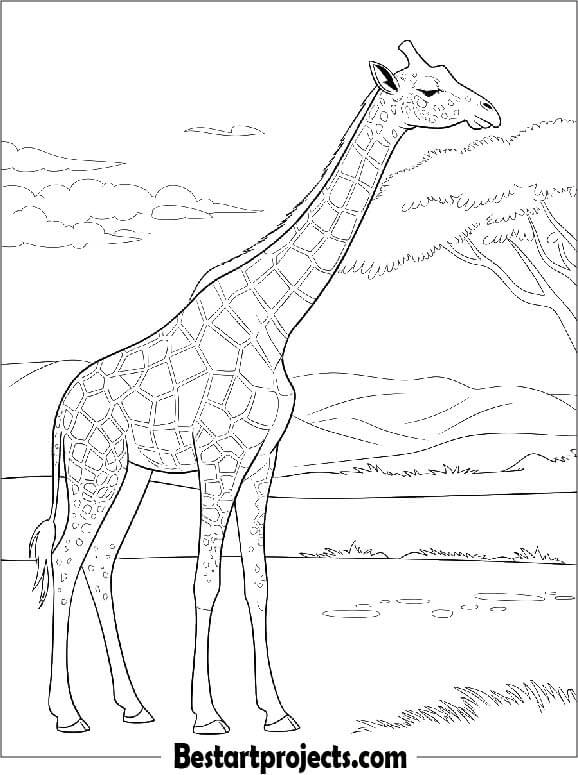 Realistic Giraffe in a Savanna Landscape