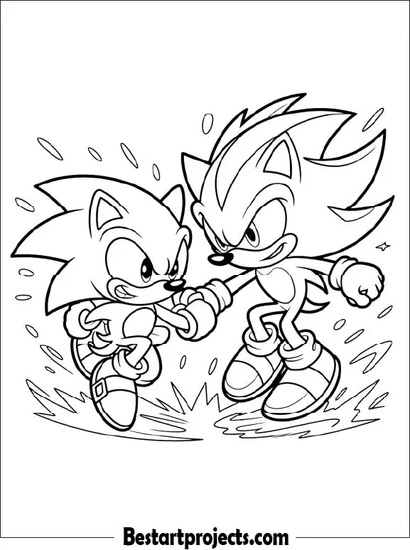 31.Sonic and Shadow Face-Off