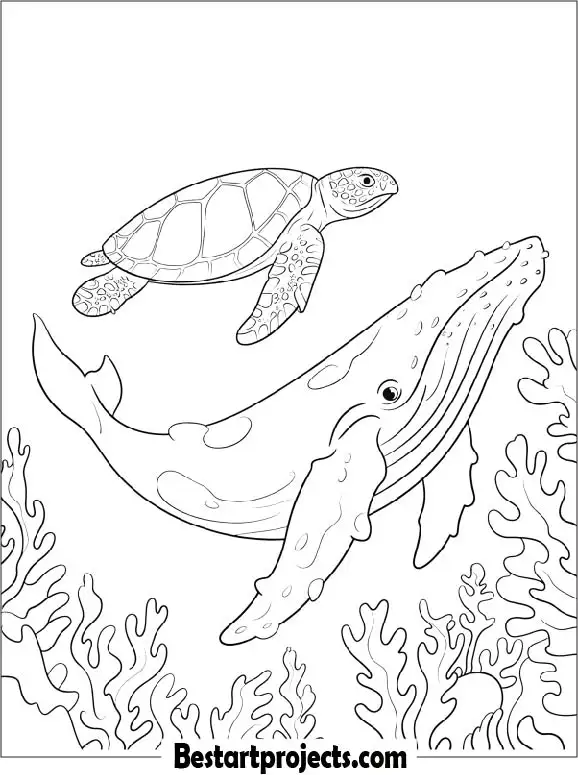 31.Turtle Swimming with a Whale