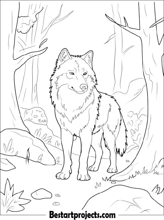 Realistic Wolf in Forest Coloring Sheet