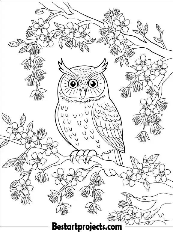 32.Spring Owl Surrounded by Blossoms