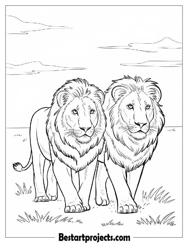 Walking Two Lions Together