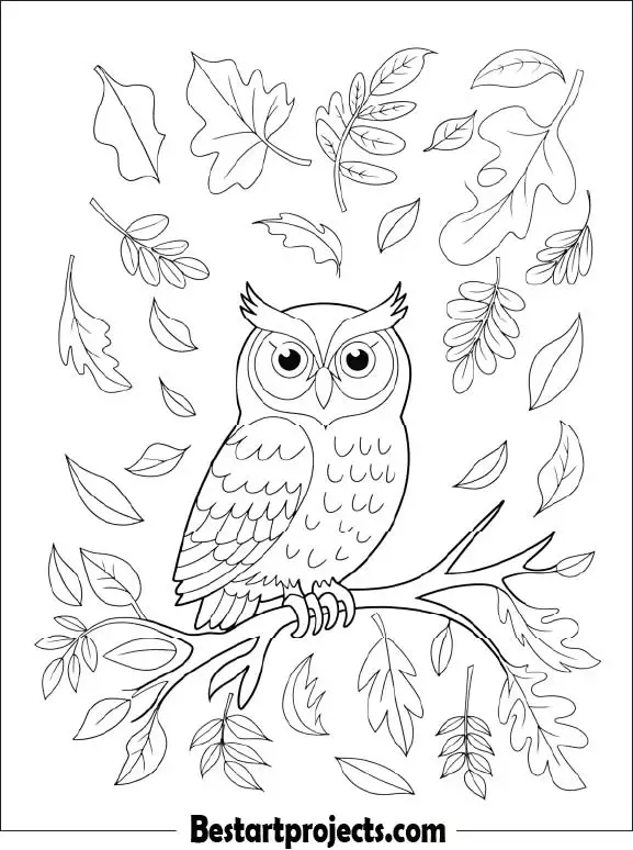 33.Autumn Owl with Falling Leaves