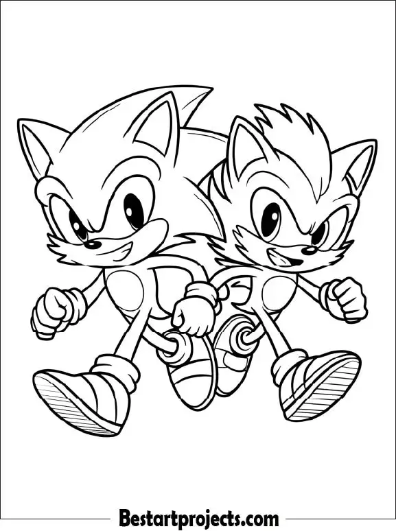 33.Sonic and Blaze Running Side by Side - Coloring page