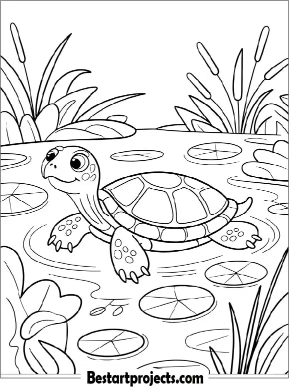 33.Turtle in a Garden Pond