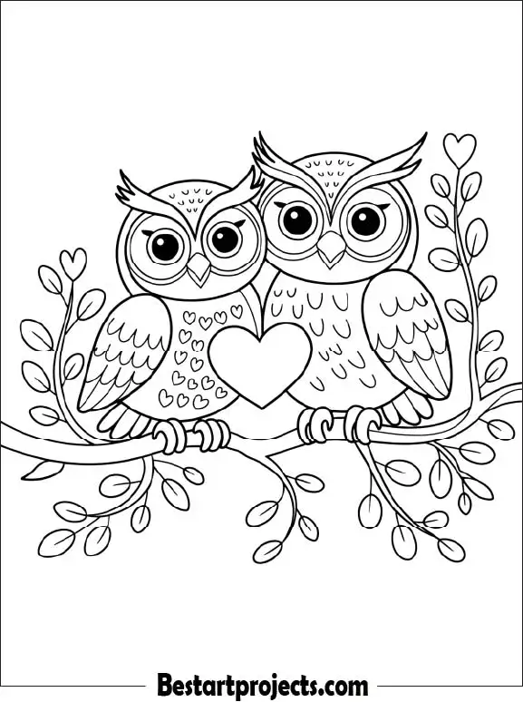 34.Valentine’s Day Owl Couple