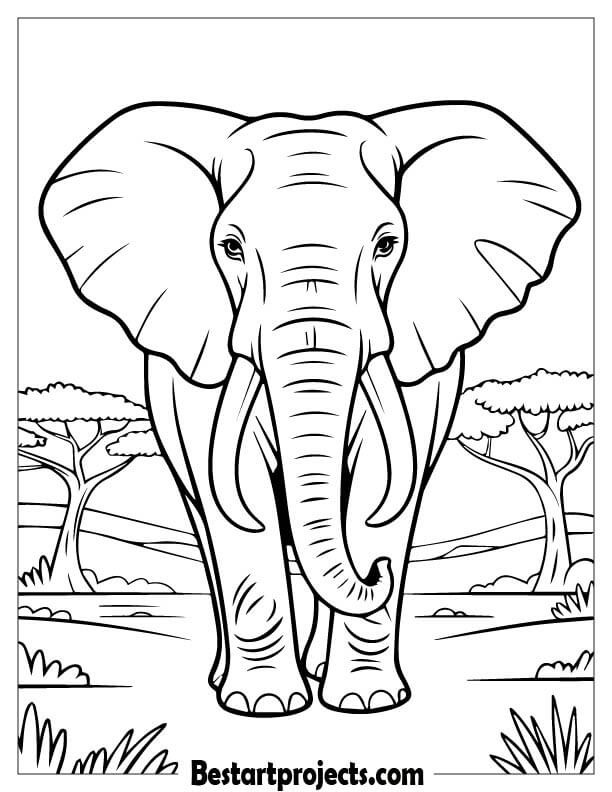 Majestic Adult Elephant 1