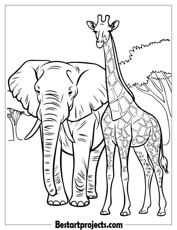 Elephant and Giraffe Together in the Wild