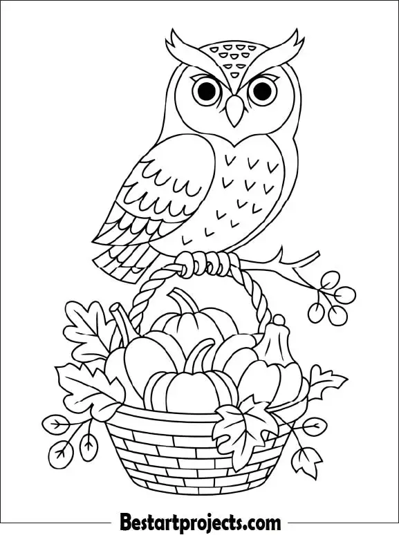 36.Thanksgiving Owl with a Harvest Basket